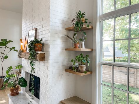 Floating Plant Shelves, Summer Room Decor, Cottage Farmhouse Decor, Indoor Plant Wall, Corner Plant, Window Shelves, Cotton Stems, Floating Plants, Plant Decor Indoor