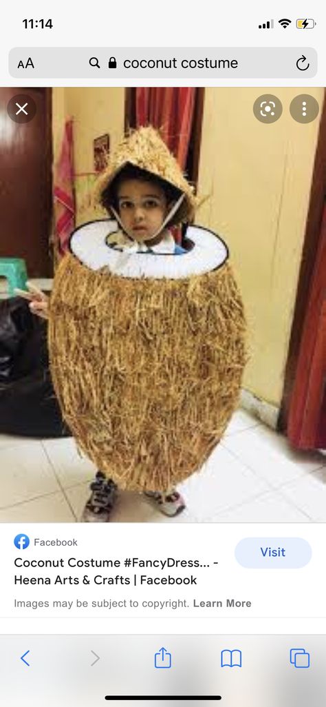 Kakamora Costume Diy, Coconut Costume Diy, Coconut Day Activity, Banana Fancy Dress For Kids, Coconut Wedding, Juice Crafts, Chubby Style, Funny Coconut Memes, Coconut Shell