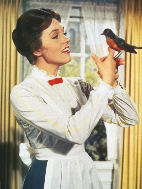 Julie Andrews Mary Poppins, Mary Poppins 1964, Musical Film, Julie Andrews, Disney Live Action, Mary Poppins, Classic Hollywood, Disney Movies, Old Hollywood