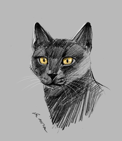 Black Cat Pencil Drawing, Black Cat Drawing Sketches, Black Cat Sketch, Antler Drawing, American Flag Drawing, Cat Sketches, Draw Cat, Black Cat Drawing, Sketch Style Tattoos