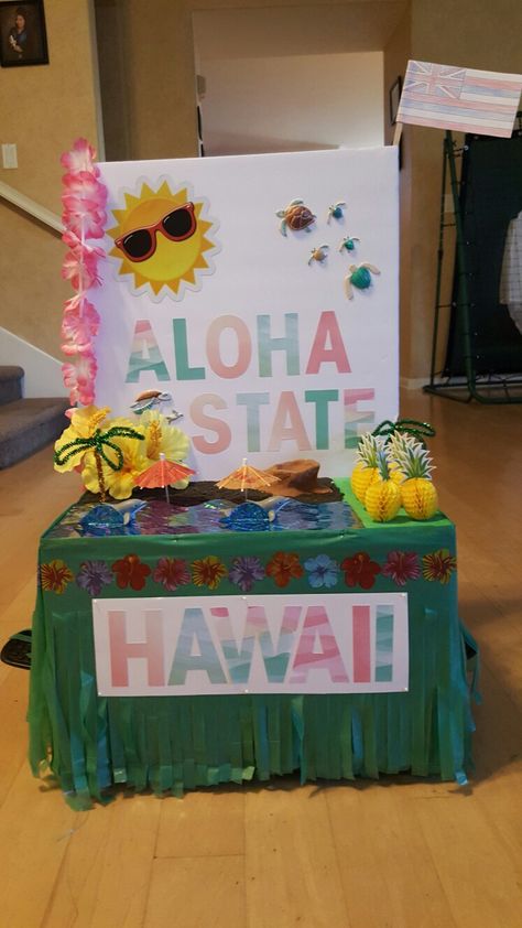 5th Grade State Float Project (front view) - HAWAII by ShakaGirl28 Hawaii Float Project, Hawaii State Float Project, State Float Project, History Fair Projects, Multicultural Fair, Multicultural Night, Space Jam Theme, State Project, Social Studies Projects