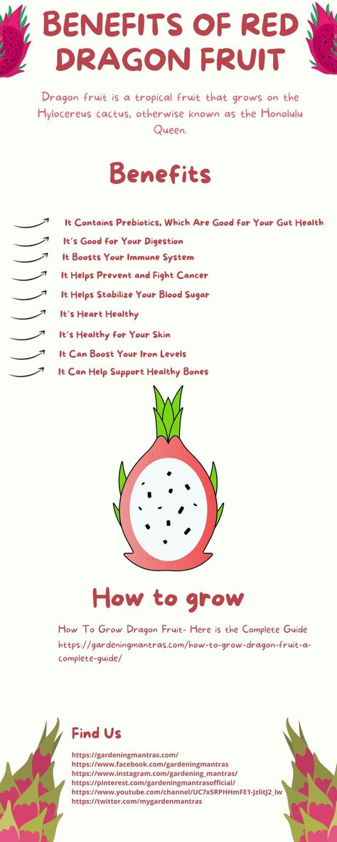 Red Dragon Fruit Benefits, Dragon Fruit Skin Uses, Dragon Fruit Growing Tips, Dragonfruit Benefits Health, Health Benefits Of Dragon Fruit, How To Grow A Dragon Fruit Plant, Benefits Of Yellow Dragon Fruit, Yellow Dragon Fruit Benefits, Dragon Fruit Benefits For Skin