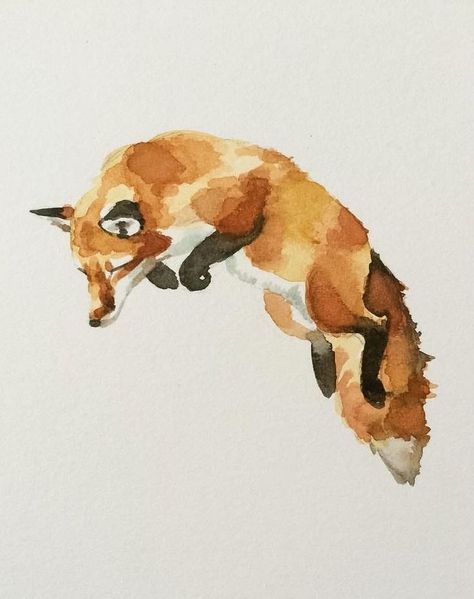 Volpe Artica, Fox Jumping, Jumping Fox, Fox Watercolor, Fox Drawing, Fox Painting, Fox Illustration, Fox Tattoo, Fox Art