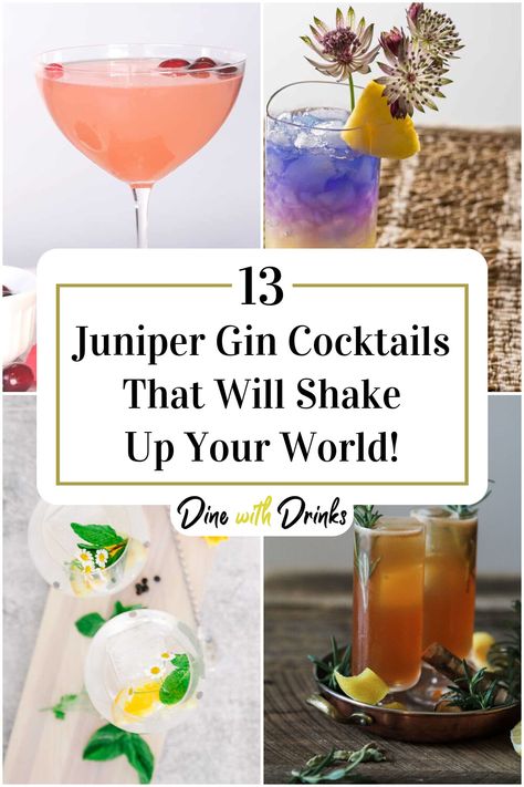 Collage of 4 juniper gin cocktails. Empress Gin St Germain, St Germain Cocktail Recipes Gin, Gin St Germain Cocktail, Cocktail With St Germain, Gin And St Germain Cocktail, St Germain Drinks, At Germain Cocktails, St Germain Cocktail Recipes, Gin Martini Recipes