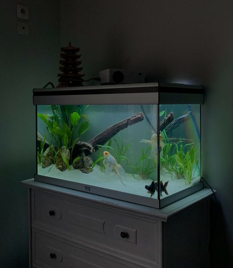 Fancy Goldfish Tank Ideas, Cool Fish Tank Decorations, Indoor Rabbit Cage, Aqua Scaping, Tank Terrarium, Goldfish Aquarium, Fish Aquarium Decorations, Fish Tank Themes, Fish Tank Terrarium