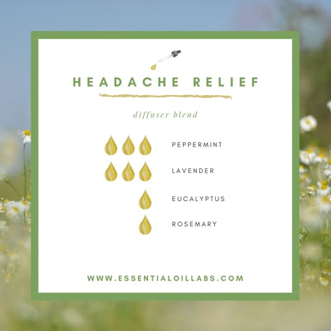 Headache Relief Diffuser Blend by Essential Oil Labs using peppermint essential oil, lavender essential oil, eucalyptus essential oil and rosemary essential oil. Peppermint oil for headache. Headache Relief Essential Oils Diffuser, Headache Diffuser Blends Young Living, Doterra Headache Blend Diffuser, Lavender Peppermint Eucalyptus Blend, Headache Relief Diffuser Blends, Diffuser Blends For Headache Relief, Diffuser Blend Headache, Essential Oil Blend For Headache, Diffuser Blend For Headache