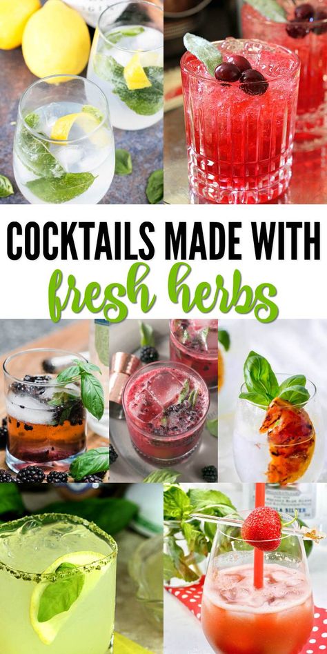 Drinks With Herbs, Cocktails With Fresh Mint, Cocktails With Herbs, Fresh Herbs Recipes, Fresh Mint Cocktails, Fresh Cocktails Summer Drinks, Herb Cocktail Recipes, Herbal Cocktail Recipes, Basil Drinks Cocktails