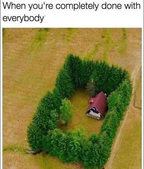 House Funny, Introvert Problems, How To Do Yoga, Bored Panda, A House, Funny Texts, Really Funny, Stuff To Do, Funny Pictures