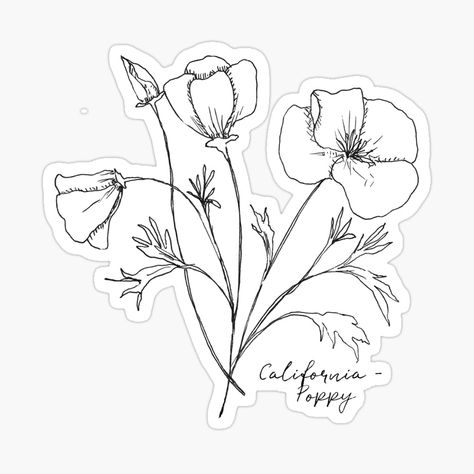 California State Flower, Ink Illustration, California Poppy, Ink Illustrations, Illustration Drawing, Home Made, Top Artists, Line Drawing, Pen And Ink