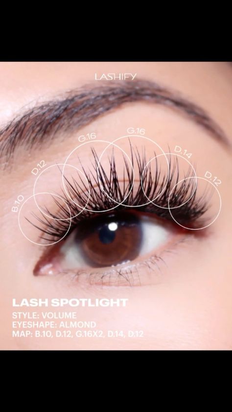 Lashify Lash Map Hooded Eyes, Diy Lash Map, Lashify Lash Map, Lashify Maps, Lashify Lashes, Cluster Map, Lash Ideas, Lash Maps, Lash Map