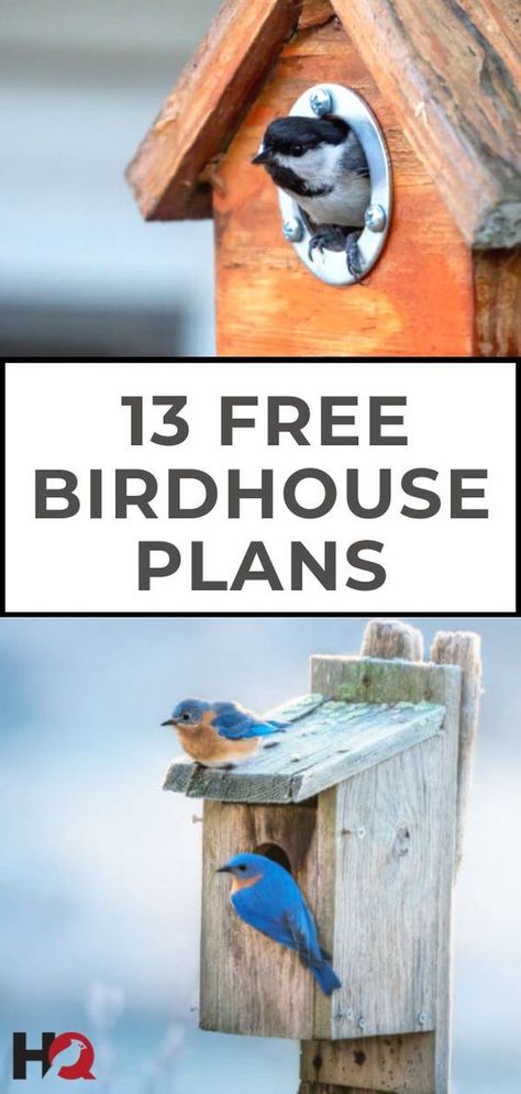 Free Birdhouse Plans, Bluebird House Plans, Birdhouse Plans, Bird House Plans Free, Homemade Bird Houses, Bird Houses Ideas Diy, Bluebird House, Bird House Feeder, Wood Birdhouses