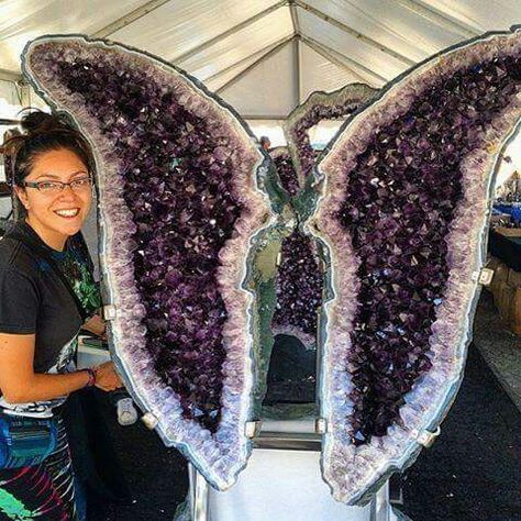 Giant Amethyst  Butterfly ...,DENVER Giant Geode, Cool Crystals, Huge Crystals, Geode Crystals, Amethyst Butterfly, Giant Crystal, Amethyst Cathedral, Crystal Room, Crystal Vibes