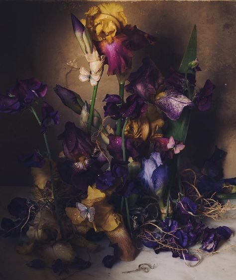 Still Life With Iris, Jamie Beck, Sweet Peas, Fall Floral, Color Theory, Still Life Photography, Sweet Pea, Beck, Silk Flowers