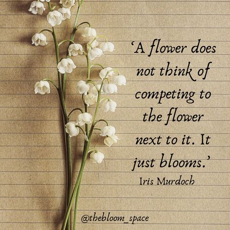 Flowers Blooming Quotes, Lily Of The Valley Quotes, Iris Murdoch Quotes, Cute Flower Quotes, Lily Quotes, Flower Blooms Quotes, Buy Yourself Flowers Quote, Quotes On Blooming Flower, Lily Quotes Flowers Words