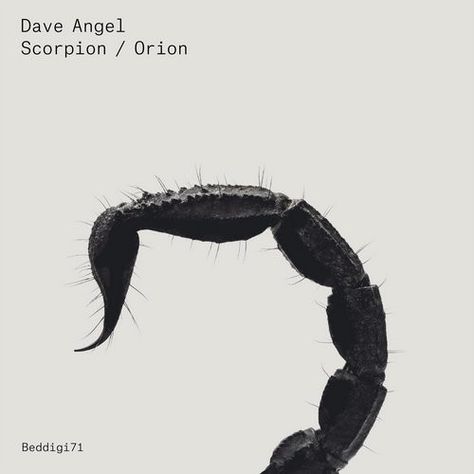 Dave Angel - Scorpion / Orion (File, MP3) at Discogs The Scorpions, Skateboard Photography, Trance Music, Scorpion, Peace And Love, Okay Gesture, Poster Design, Angel, Graphic Design