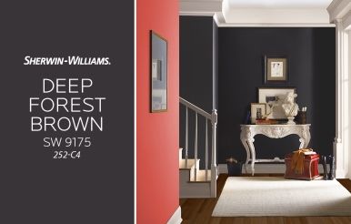 Taupe Paint Colors, Purple Paint Colors, Brown Paint Colors, Zyla Colors, Taupe Paint, Forest Brown, Neutral Paint Color, Sherwin Williams Colors, Neutral Paint Colors