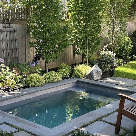 Backyard Seating Ideas, Small Pools Backyard, Small Inground Pool, Elegant Backyard, Dipping Pool, Inground Pool Landscaping, Pools For Small Yards, Plunge Pools, Pools Backyard Inground