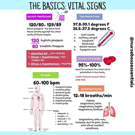 Nurse Vicky | Nurse Mentor on Instagram: “Back to the basics. Save this post for a quick review of vital signs “must knows”. . . #nurse #nurseproblems #nursingschool…” Vital Signs Nursing, Elderly Home Care, Nurse Problems, Cardboard Crafts Diy, Nursing School Notes, Vital Signs, Nursing Notes, Nclex, Medical Education