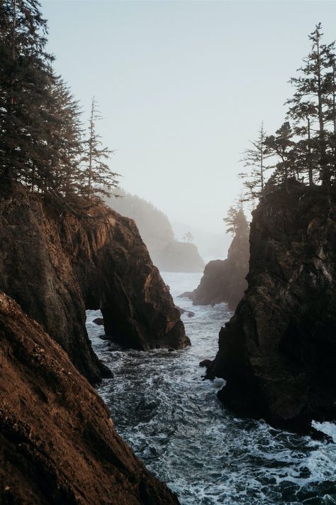 Want to plan an elopement on the west coast but not sure whether to choose OR or WA? Or maybe you want to experience the beach & forest but don't know if you can have both. Cassie and Cintia had the most stunning OR coastal elopement with their family & this blog discusses why the Oregon Coast is an ideal location for adventure elopements and elopements with guests. | Oregon Intimate Elopement Wedding | West Coast Adventure Elopement | Elopement Dress and Suit | Intimate Family Dinner Reception Foggy Coast Aesthetic, West Coast Photography, West Coast Beach Wedding, Oregon Coast Wallpaper, Forest Beach Aesthetic, Coastal Forest Aesthetic, Beach Forest Aesthetic, Pacific Coast Aesthetic, Oregon Beach Aesthetic