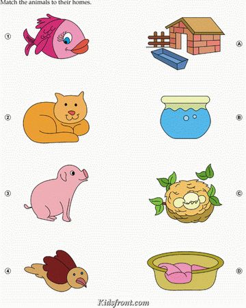 Kids Activity -Match Animals(Fish, Cat,dog, bird) with their Home., Black & white Picture Preschool Activity Books, Fun Worksheets For Kids, Preschool Writing, Educational Activities For Kids, Animal Activities, Fun Worksheets, Preschool Lessons, Preschool Activity, Kids Learning Activities