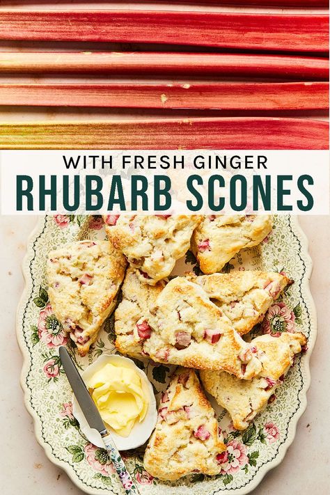 Rhubarb Scones With Fresh Ginger Rhubarb scones are a favourite spring treat! Spicy fresh ginger is a great match for the rich cream scone base and tart chopped rhubarb. Rhubarb Scones Recipe, Ginger Substitute, Rhubarb Scones, Freeze Rhubarb, Janes Patisserie, Cranberry Orange Scones, Orange Scones, Spring Treats, Cream Scones