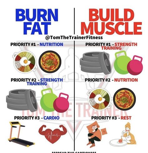 Gym Food Plan Build Muscle, Bulking Routine Build Muscle, Gain Muscle Women, Meal Plan For Fat Loss And Muscle Gain, Calisthenics Routine Build Muscle, Bodybuilding Tips Gain Muscle, Muscle Gain Diet, Food To Gain Muscle, Gym Nutrition