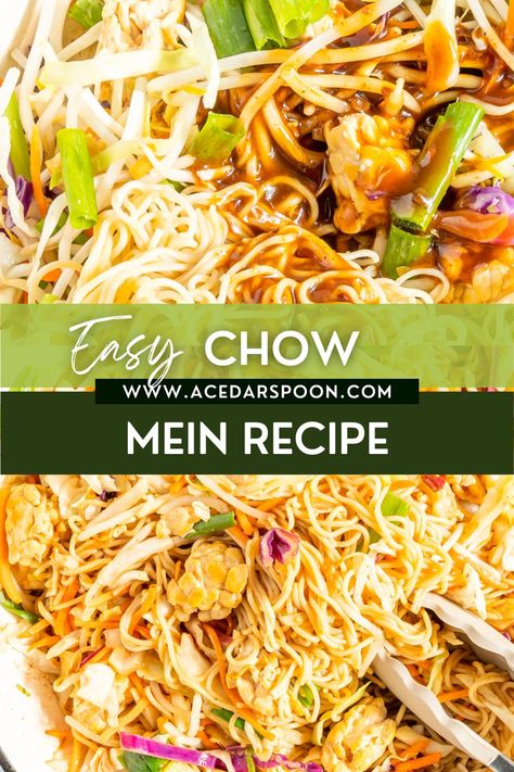 Easy Vegetable Chow Mein is an easy and delicious weeknight meal. Tempeh is mixed with coleslaw mix, bean sprouts, green onions, chow mein noodles and mixed with a stir-fry sauce. Garnish this chow mein with fresh cilantro, sesame seeds and extra stir-fry sauce on the side. Easy Chow Mein, Easy Chow Mein Recipe, Veggie Chow Mein, Soy Sauce Stir Fry, Vegetable Chow Mein, Yummy Noodles, Homemade Stir Fry, Chow Mein Recipe, Chow Mein Noodles