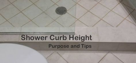 Shower Curb Height: Purpose and Tips Shower Threshold, One Piece Shower, Concrete Shower, Shower Step, Shower Curb, Doorless Shower, Small Showers, Tub And Shower, Backer Board