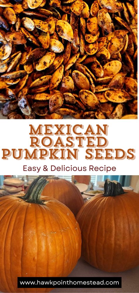 These delicious Mexican pumpkin seeds will surprise you with their wonderful taste. Some cumin, cilantro and chili powder give these crunchy pumpkin seeds just the right flavor to enjoy as a favorite Fall snack.
Making roasted pumpkin seeds is very easy and an activity kids will enjoy. Plus roasting the pumpkin seeds gives them a great crunchy healthy snack that they will love!
Pumpkin seeds are a delicious and nutritious snack. Pumpkins Seeds Roasted, Pumpkin Seeds Recipe Spicy, Crunchy Pumpkin Seeds, Roasted Pumpkin Seed Recipes, Pumpkin Seeds Recipe Savory, How To Roast Pumpkin Seeds, Pumpkin Seeds Recipe Roasted, Cajun Pumpkin Seeds, Mexican Pumpkin