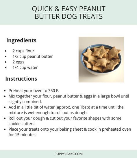 Homade Dog Treats, Homemade Peanut Butter Dog Treats, Homemade Dog Cookies, Dogs Treats, Pet Treats Recipes, Dog Treat Recipe, Easy Dog Treat Recipes, Dog Treats Homemade Easy, Dog Biscuit Recipes