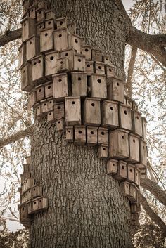 Birdhouse artwork called "Control Tower" by artist Cameron Hockenson. montalvoarts.org/sculpture/ control_tower/ Villa Montalvo, Saratoga, CA Decorative Bird Houses, Bird Houses Diy, Bird Boxes, Land Art, Birdhouse, Outdoor Projects, Garden Paths, Dream Garden, Garden And Yard