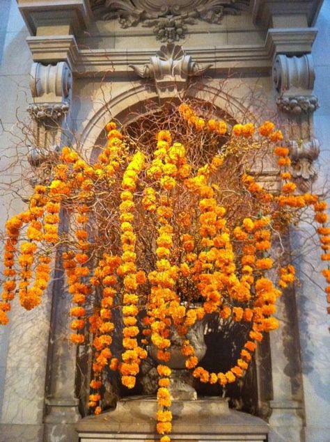 Marigold Installation, Nice Flowers, Marigold Flower, Wheat Grass, Flower Arranging, Halloween Inspiration, Seed Pods, Arte Floral, Fall 2023