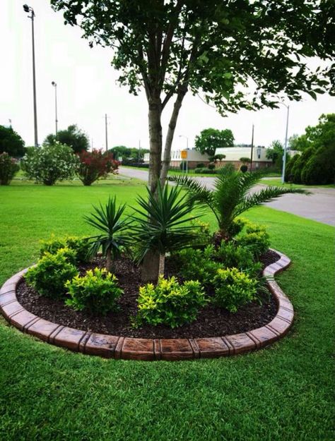 Landscaping Around Trees, Front Garden Landscape, Landscaping Retaining Walls, Rock Garden Design, Front Yard Design, Front Yard Garden Design, Garden Area, Patio Landscaping, Home Landscaping