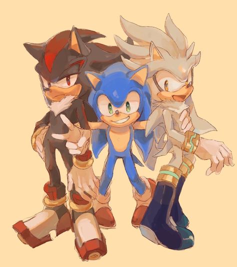 Sonic Silver, Sonic And Tails, Sonic Shadow, Sonic Sonic, Princesas Disney Anime, Shadow Sonic, Sonic Heroes, Silver The Hedgehog, Animatronic Fnaf