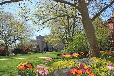 The Hofstra campus truly is a sight to see in the spring time! Hofstra University Aesthetic, Hofstra University, Lovely Scenery, University Aesthetic, Uni Life, College Campus, University Campus, Spring Time, University