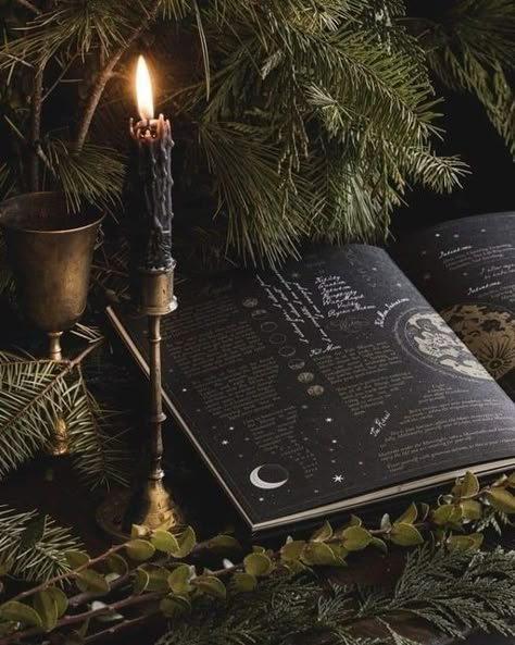 Moody Witch Aesthetic, Hearth Witch Aesthetic, Witch Asethic, Nature Witch Art, Magic Witch Aesthetic, Earth Witch Aesthetic, Good Witch Aesthetic, Moon Witch Aesthetic, Green Witch Art