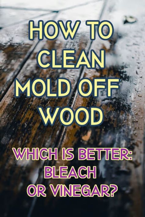 Mold Remover On Wood, Clean Black Mold, Mold Smell, Kill Mold, Remove Black Mold, Mold And Mildew Remover, Uses For Vicks, Mildew Remover, Cleaning Mold