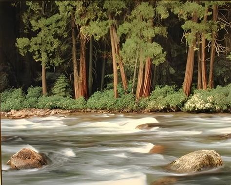 Floating River, River Scenery, Landscape Posters, Nature Room, Nature Poster, River Forest, Forest Scenery, Landscape Wall Decor, Nature Wall Decor