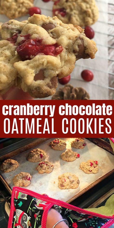 Cranberry chocolate chip oatmeal cookies. One of our family's favorite cookies recipe. Delicious with fresh cranberries or with dried cranberries. Great breakfast cookie idea. https://www.raegunramblings.com/cranberry-oatmeal-chocolate-chip-cookies-and-little-partners-learning-tower-review/ Cranberry Chocolate Chip Oatmeal Cookies, Cranberries Recipes, Cranberry Oatmeal Cookies, Cranberry Cookies Recipes, Awesome Cookies, Cranberry Chocolate, Cranberry Oatmeal, Chocolate Chip Oatmeal Cookies, Breakfast Cookie