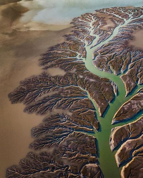 Fractals In Nature, Wildflowers Photography, Mysteries Of The World, Aerial Photography Drone, River Delta, Aerial Drone, Colorado River, Last Fm, Drone Photography