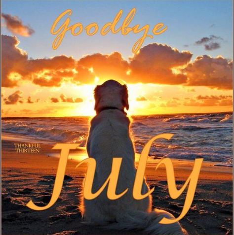 Goodbye, July...you have given us some great memories! Goodbye July Hello August, Goodbye July, July Hello, Saint Helena Island, Hello August, Beach Friends, Beach Diy, Good Bye, Dog Beach