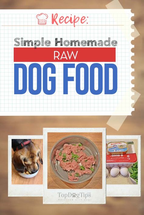 Fresh Dog Food Recipes, Dogs Food Recipes, Dogs Reference, Homemade Raw Dog Food, Dog Food Recipes Crockpot, Dog Raw Diet, Dog Homemade, Raw Feeding For Dogs, Dog Food Recipe