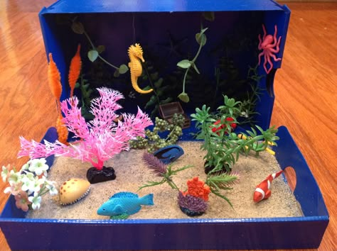 Coral reef diorama we made for first grade school project. Coral Reef Biome, Ecosystems Diorama, Ocean Diorama, Biomes Project, Diorama Kids, Ecosystems Projects, Habitats Projects, Ocean Habitat, Ocean Projects