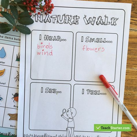 Nature Walk Senses Worksheet Nature Walk Activities, Science Homeschool, Nature Lessons, Nursery Planning, Activity Day Girls, Social Skills For Kids, Senses Activities, Outdoor Education, Nature Walk