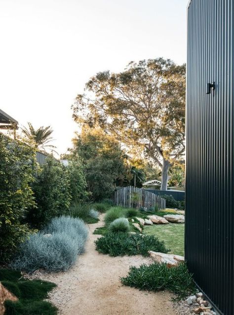 The new look Aussie backyard - Native Plant Project Aussie Backyard, Australian Backyard, Native Plant Landscape, Backyard Garden Ideas, Australian Garden Design, Coastal Landscaping, Bush Garden, Australian Native Garden, Pool Landscape Design