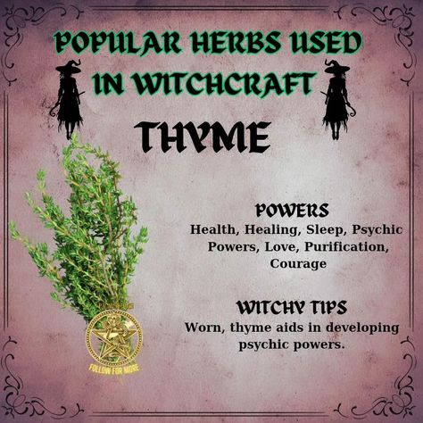 Common herbs used in witchcraft include: - **Sage**: Often used for cleansing and protection. - **Rosemary**: Associated with memory and fidelity, used in rituals for clarity. - **Lavender**: Known for promoting peace and tranquility, often used in love spells. - **Mugwort**: Used for enhancing dreams and psychic abilities. - **Basil**: Believed to attract wealth and protect against negativity. These herbs are valued for their symbolic meanings and practical applications in various magical ... Basil Spells, Sage Meaning Witchcraft, Herbs Used In Witchcraft, Herb Meanings, Spiritual Herbs, Medical Plants, Witchcraft Herbs, Symbolic Meanings, Peace And Tranquility