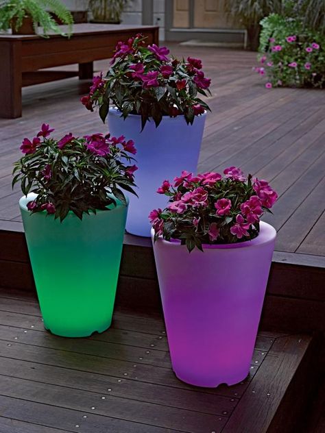 Solar Illuminated Planters Design Per Patio, Pot Tanaman, Romantic Backyard, Best Outdoor Lighting, Diy Outdoor Lighting, Pot Art, Hydrangea Care, House Farmhouse, Backyard Landscape