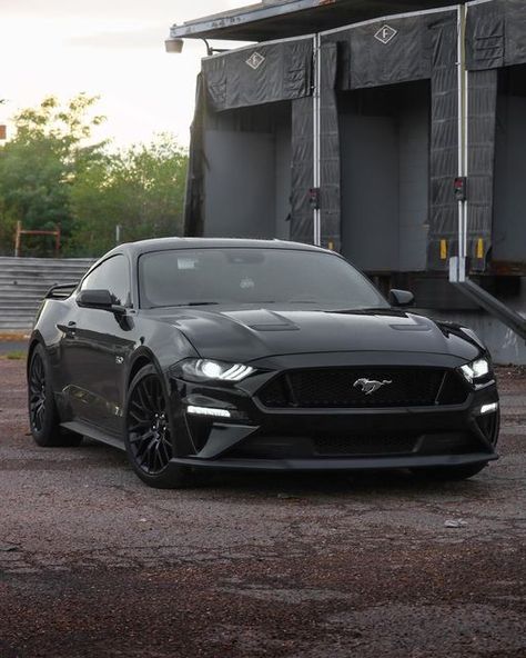 67 Ford Mustang Shelby Gt500, Cars Ford Mustang, 2019 Ford Mustang Gt, All Black Mustang Gt, 05-09 Mustang Gt, Cool Mustangs, Mustang Gt 2024, Mustang Gt Aesthetic, 2024 Mustang Gt