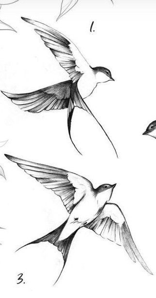 Swallow Bird Tattoo Design, Chinese Bird Tattoo, Swallow Bird Drawing, Swallow Sketch, Small Realism Tattoo, Sparrow Bird Tattoo, Swallow Drawing, Watercolor Birds Tutorial, Bird Tattoo Design