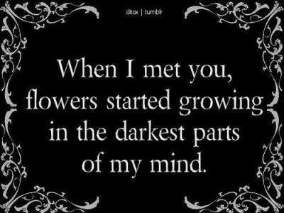 "When I met you, flowers stared growing in the darkest parts of my mind." <3 Goth Quotes, When I Met You, Dark Love, This Is Your Life, Hopeless Romantic, A Quote, Poetry Quotes, Pretty Words, Pretty Quotes